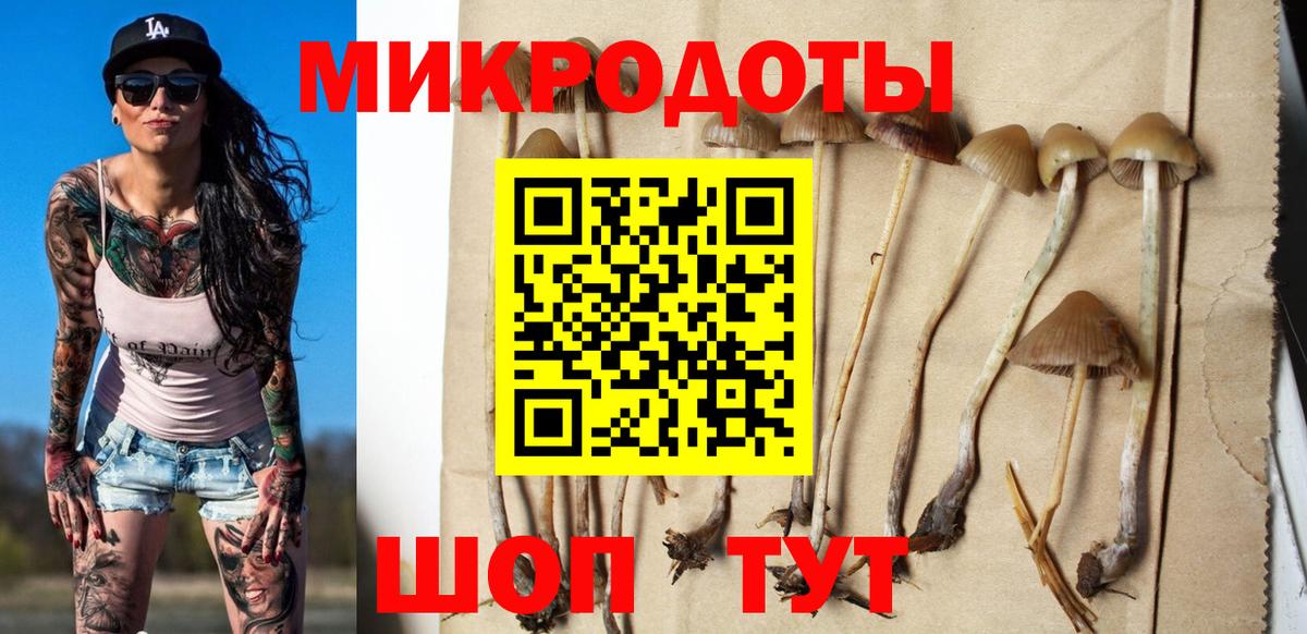 наркотики  Вход с VPN  Бердск  Галлюциногенные грибы прущие грибы  Псилоцибиновые грибы Psilocybine cubensis 