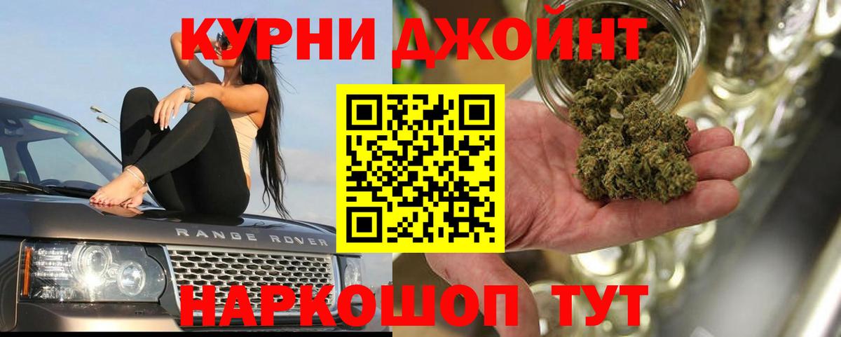 Каннабис AK-47  Вход с VPN  Канабис ГИДРОПОН  Бердск  МАРИХУАНА план  Каннабис семена 